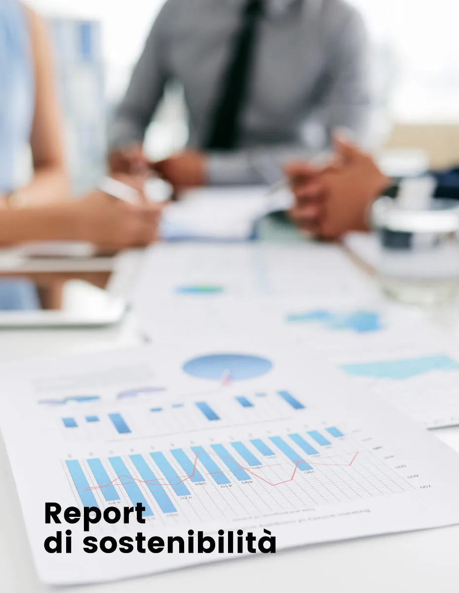 Consulenza report sostenibilità